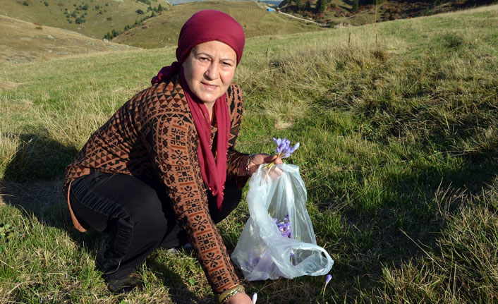 Vargit çiçeklerinden reçel yaptı