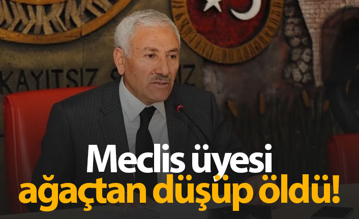 Meclis üyesi ağaçtan düşüp öldü!