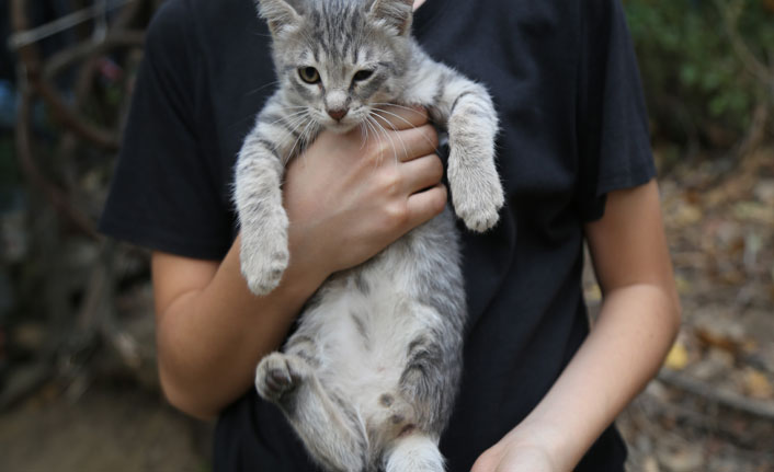 Üç ayaklı kedi mahalle sakinlerinin ilgi odağı haline geldi