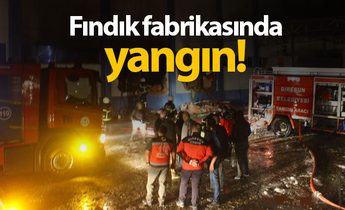 Fındık fabrikasında yangın!