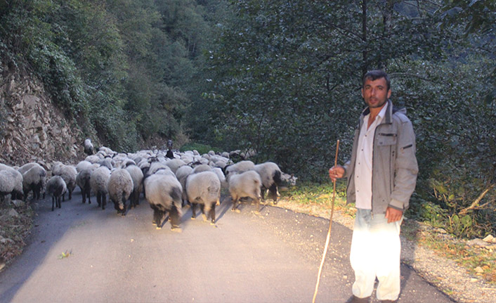 Yaylalardan dönüşler sürüyor