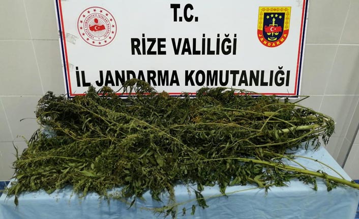 Rize'de uyuşturucu operasyonu 22 Ekim 2019