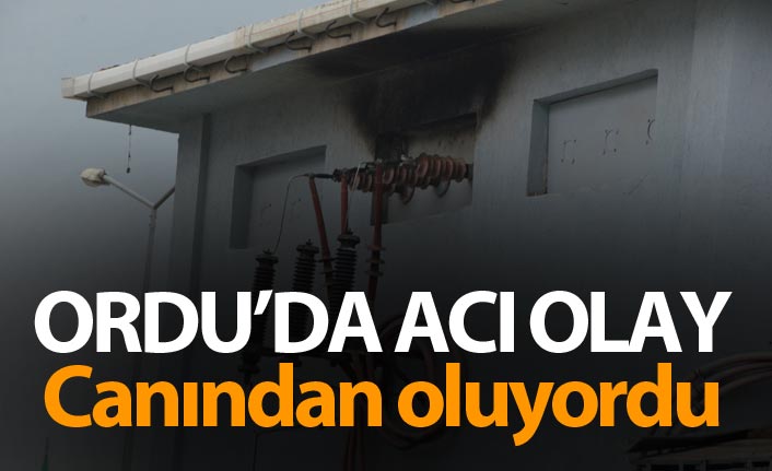 Ordu'da acı olay - Elektrik işçisi canından oluyordu