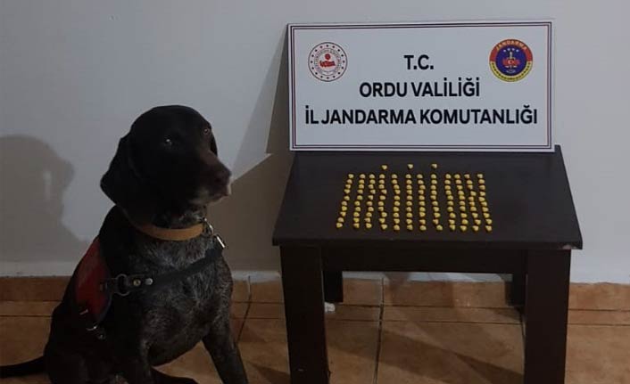 Ordu’da uyuşturucuya geçit yok