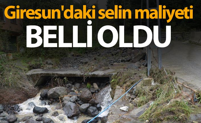 Giresun'daki selin maliyeti belli oldu