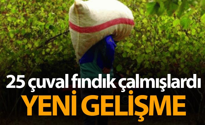 Giresun'daki fındık hırsızları ile ilgili yeni gelişme