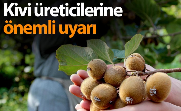 Kivi üreticilerine önemli uyarı