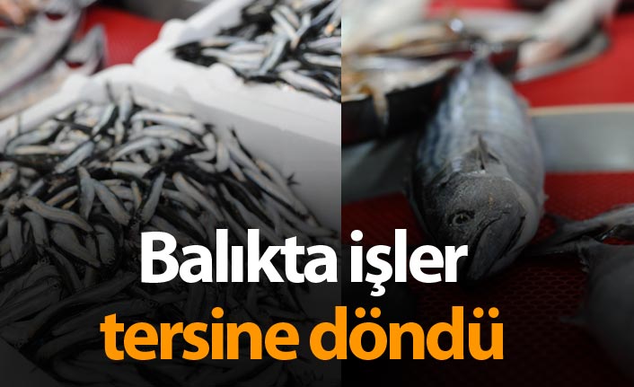 Balıkta işler tersine döndü