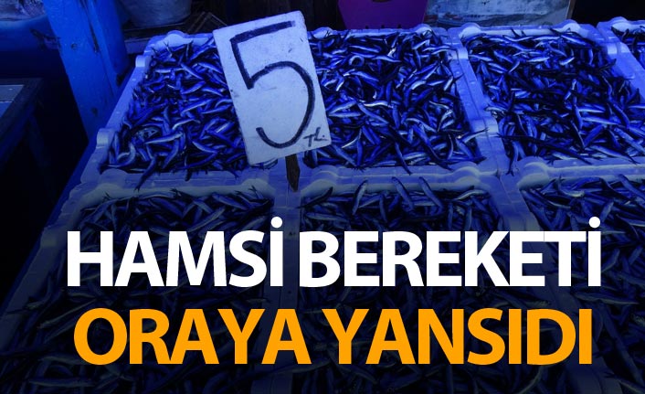 Hamsi bereketi oraya yansıdı