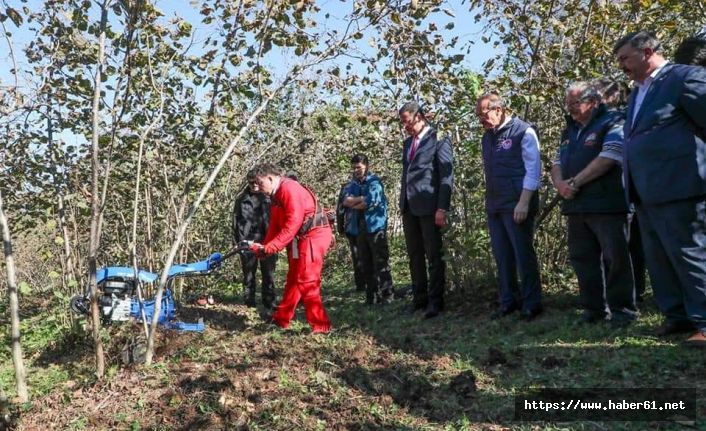 Ordu'da fındık timleri verimi artırmak için çalışıyor