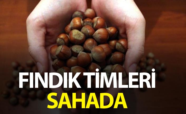 Fındık timleri sahada