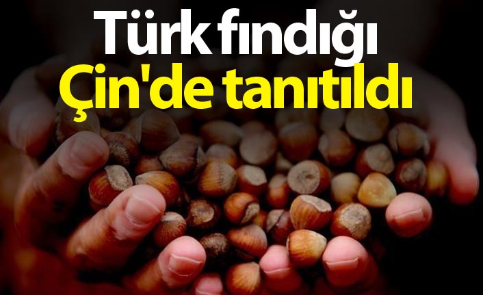 Türk fındığı Çin'de tanıtıldı