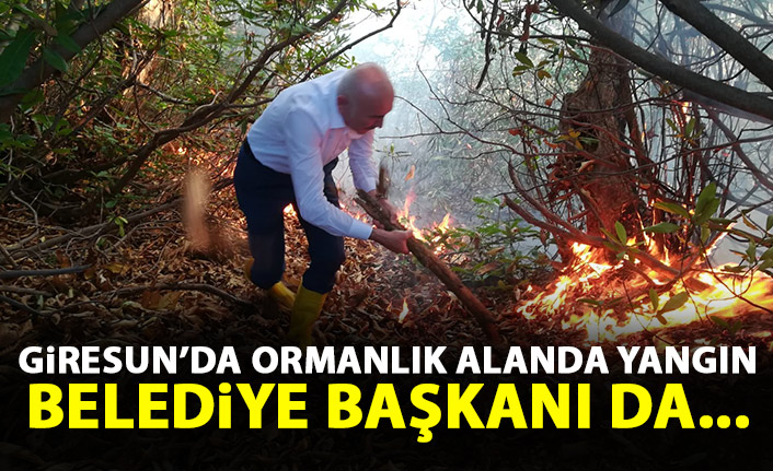 Giresun'da ormanlık alanda yangın!