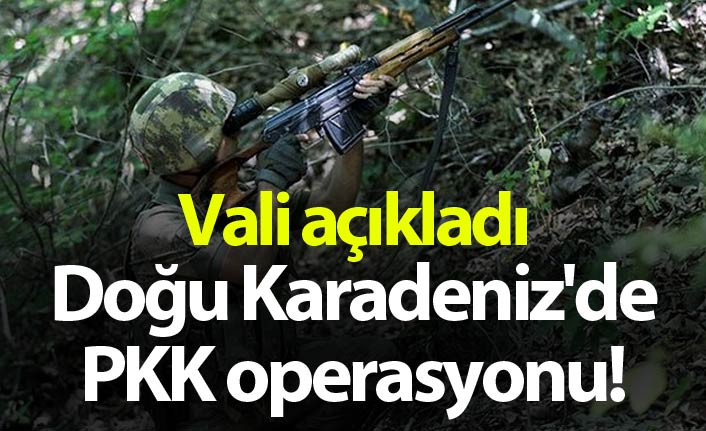 Doğu Karadeniz'de PKK operasyonu! Vali açıkladı