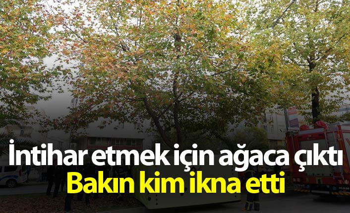 İntihar etmek için ağaca çıktı Bakın kim ikna etti