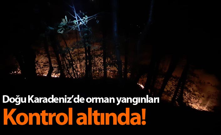 Ordu'da orman yangınları kontrol altında