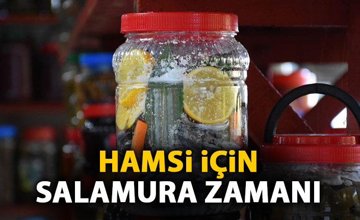 Hamsi için salamura zamanı!