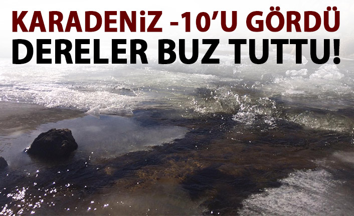 Karadeniz'de aşırı soğuktan dereler dondu