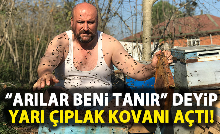 Arıların arasına yarı çıplak daldı!