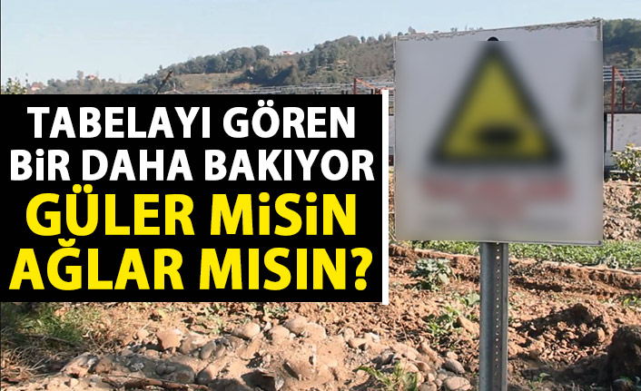 Giresun'da tabelayı gören bir daha bakıyor! Güler misin ağlar mısın?