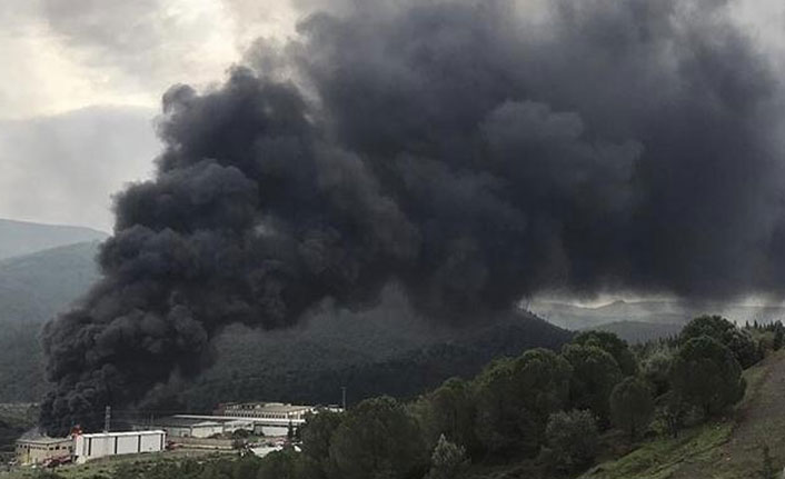 İzmir'de yangın paniği!