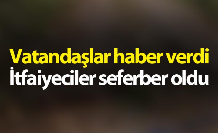 Vatandaşlar haber verdi İtfaiyeciler seferber oldu