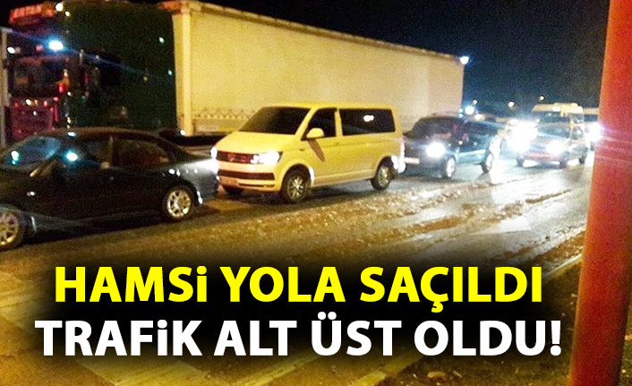 25 kasa hamsi yola döküldü