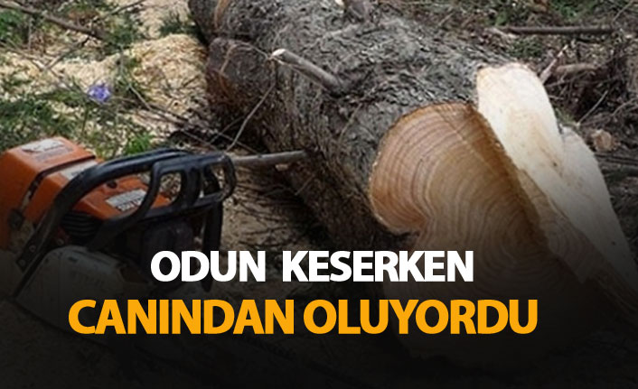 Odun keserken kendi boğazını kesti