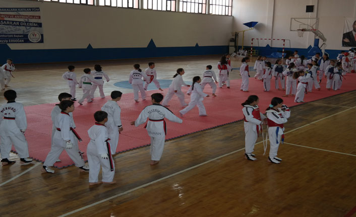 'Minikler Taekwondo Turnuvası' düzenlendi