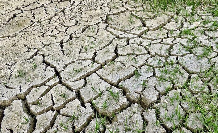 İklim değişikliği 21'inci yüzyılda en büyük sağlık tehdidi olabilir