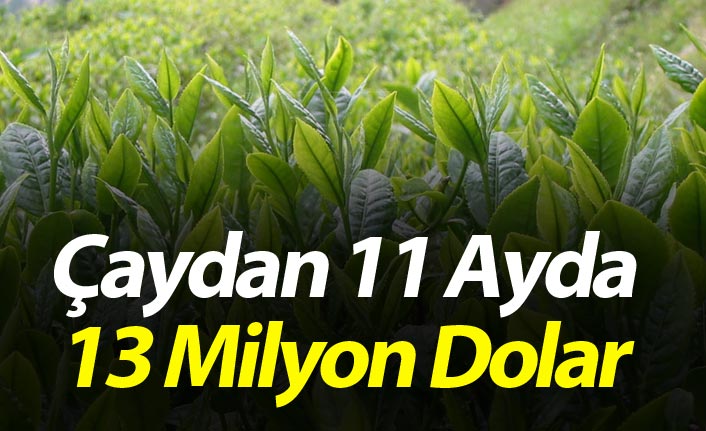 Çaydan 11 Ayda 13 Milyon Dolar