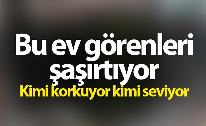 Bu ev görenleri şaşırtıyor - Kimi seviyor kimi korkuyor