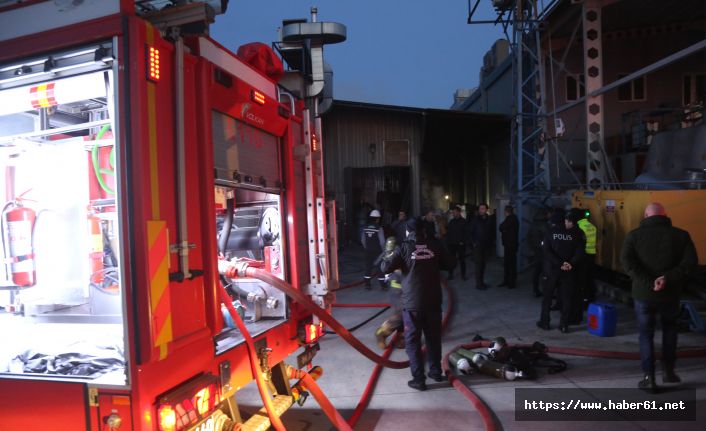 Ordu'da fındık kırma fabrikasında yangın