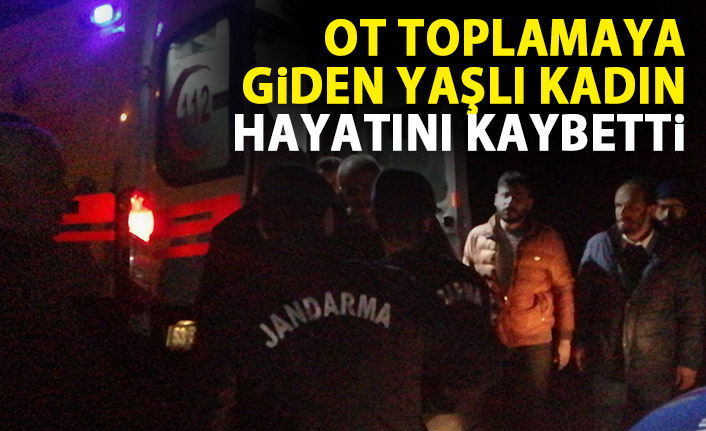 Ot toplamaya giden yaşlı kadın hayatını kaybetti