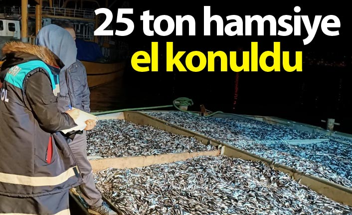 Rize'de 25 ton hamsiye el konuldu