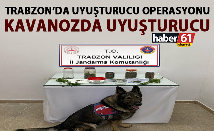 Trabzon’da uyuşturucu operasyonu! Satışa hazır 6 kavanoz