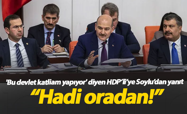 Soylu'dan HDP'li vekile yanıt: Hadi oradan