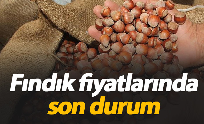 Fındık fiyatları ne kadar? Fındık fiyatında son durum - 16 Aralık 2019