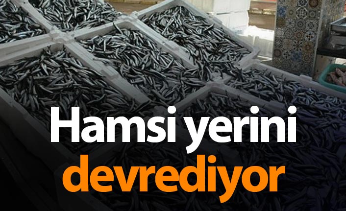 Hamsi yerini devrediyor