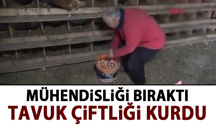 Mühendisliği bıraktı tavuk çiftliği kurdu