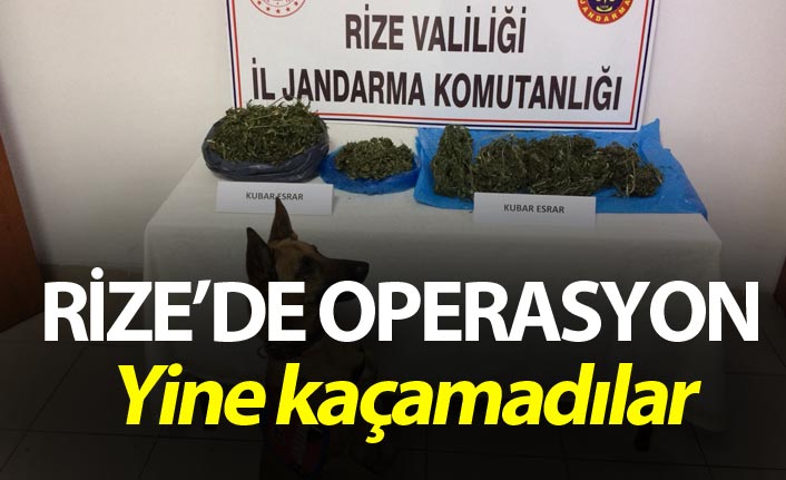 Rize'de uyuşturucu operasyonu 17 Aralık 2019