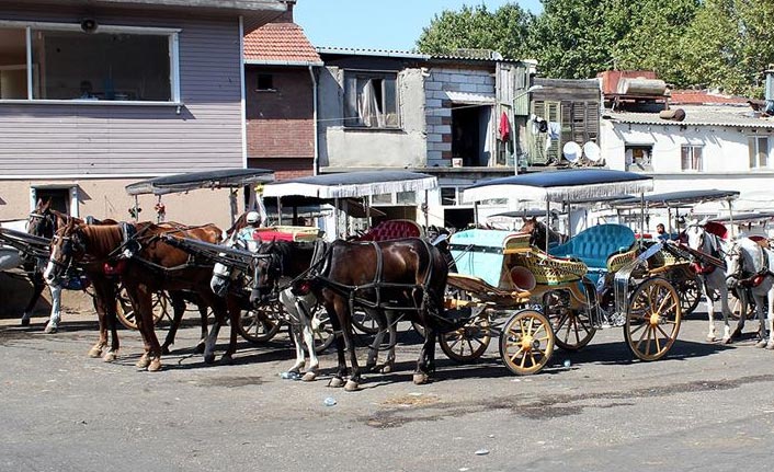 Adalar'da faytonlara at koşulması 3 ay süreyle durduruldu