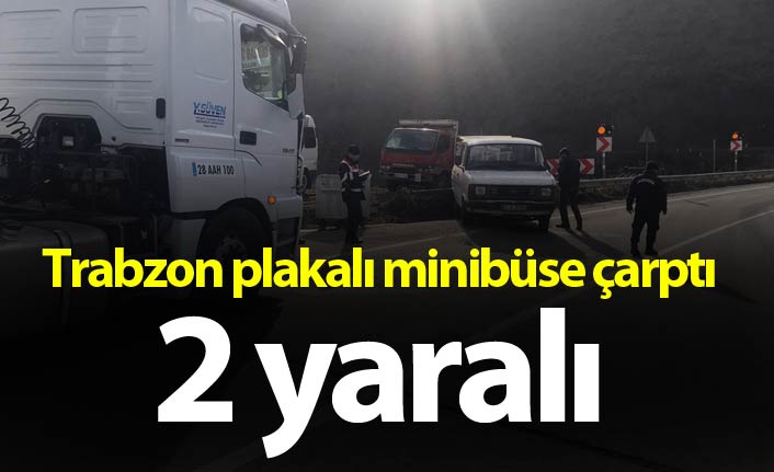 Trabzon plakalı minibüse çarptı - 2 yaralı