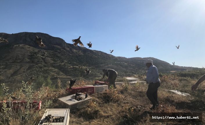 100 bin kanatlı doğaya salındı