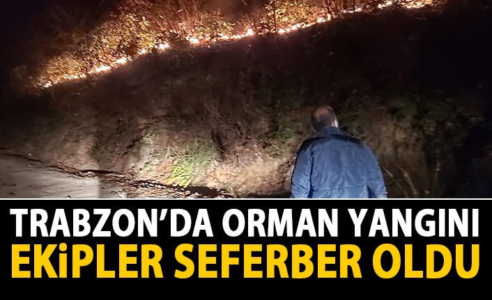 Trabzon'da orman yangını! Müdahale devam ediyor!