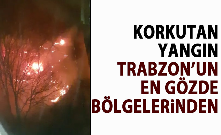 Trabzon’da örtü yangını meydana geldi. 23 Aralık 2019