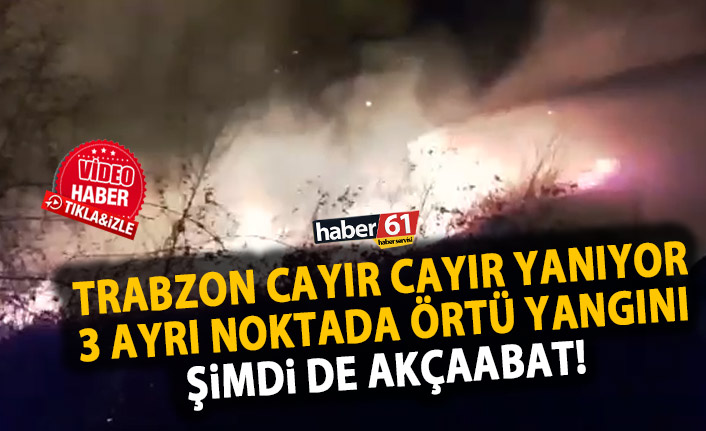 Trabzon cayır cayır yanıyor! 3 ayrı noktada yangın!