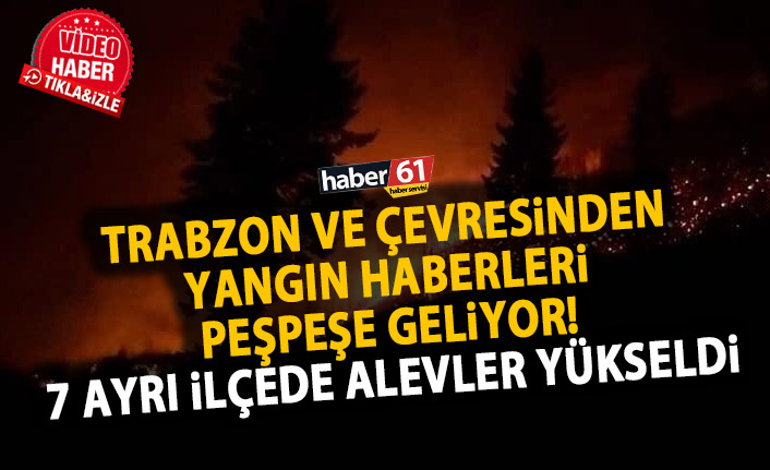 Trabzon ve çevresinde orman yangınları! 7 bölgede alevler yükseldi!