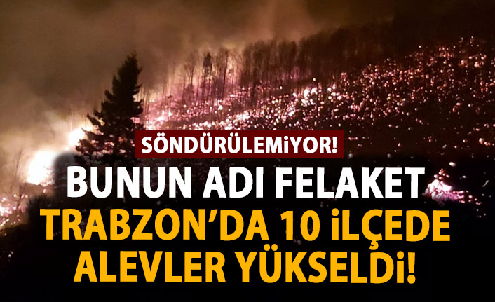 Bunun adı felaket! Trabzon'un 10 ayrı ilçesinde yangın!