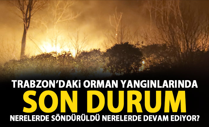 Trabzon'daki orman yangınlarında son durum! Nerelerde devam ediyor!